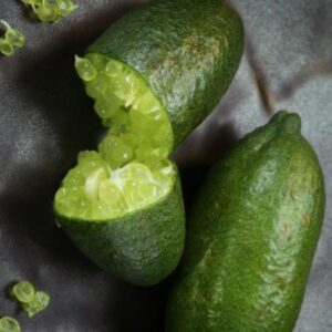 Limone Caviale "Fingher Lime"
