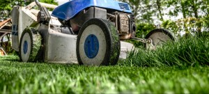 Tagliare l'erba: consigli per mantenere prato e giardino