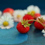 coltivare le fragole di bosco