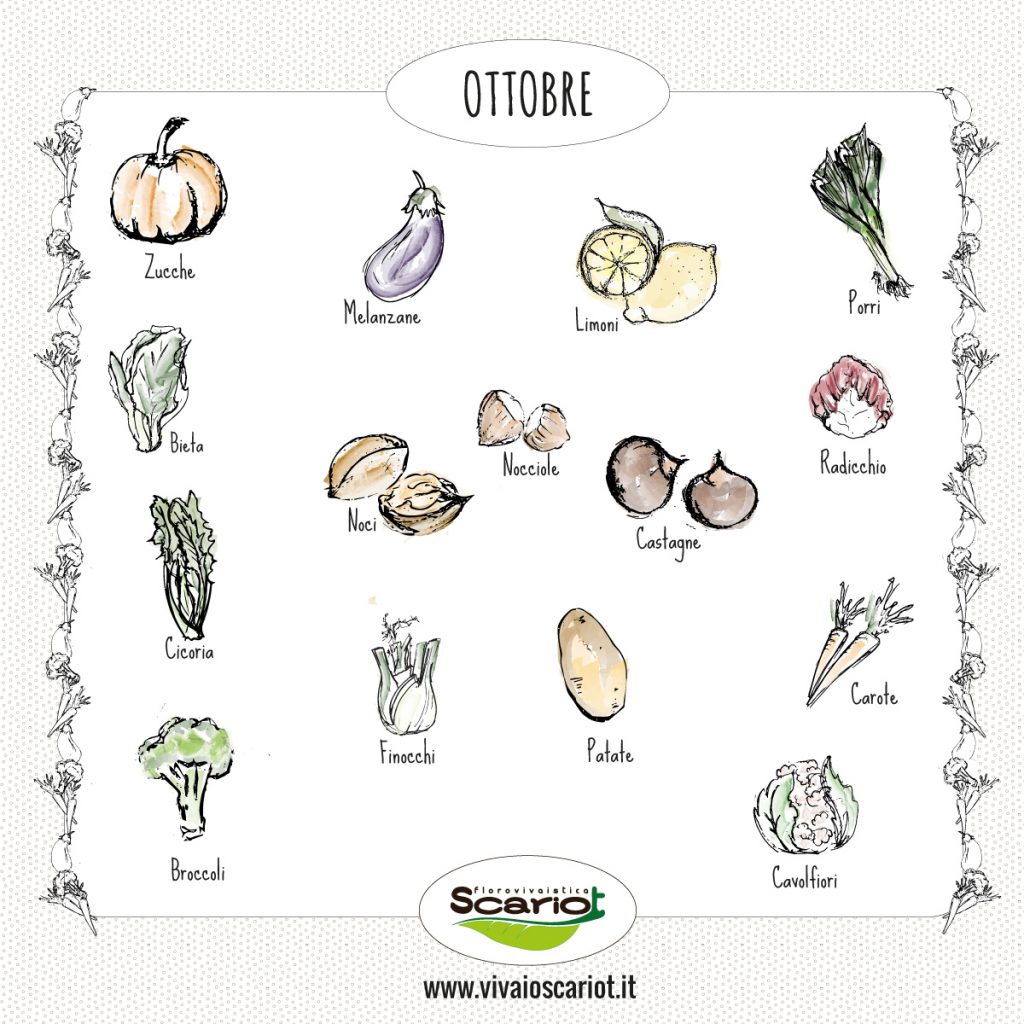 verdure-di-stagione-ottobre-ortaggi