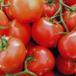 pomodori rossi