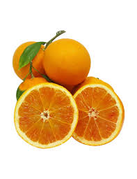 Arancio Tarocco (Citrus Sinensis)